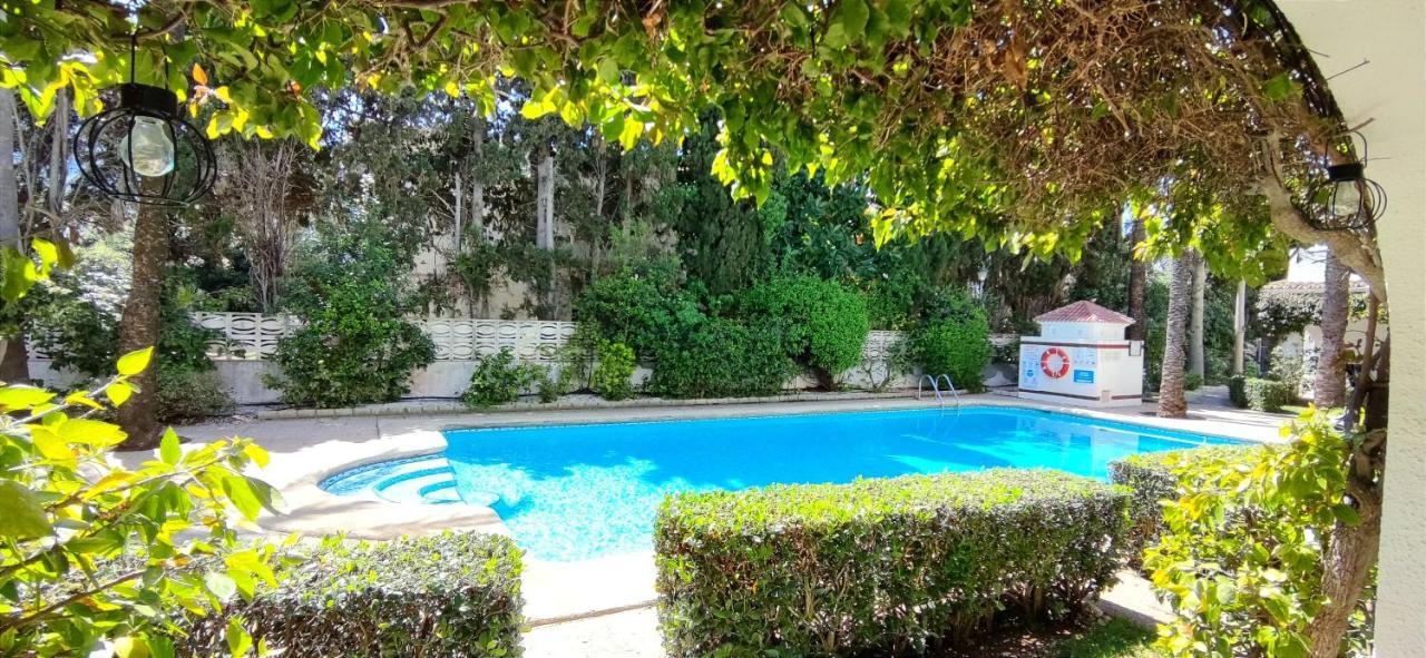 Apartamento Oasis Beach 德尼亚 外观 照片